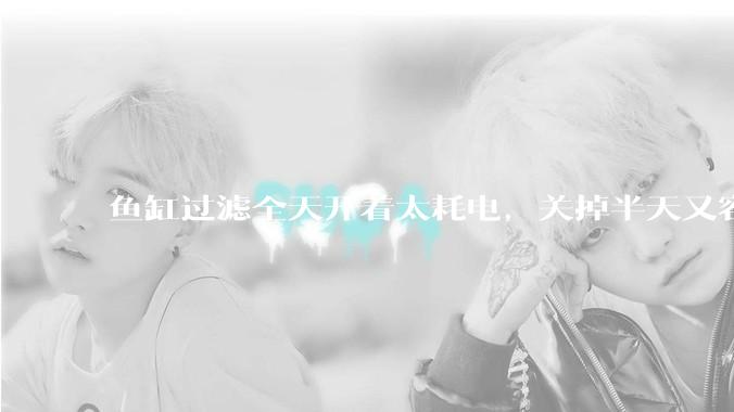 鱼缸过滤全天开着太耗电，关掉半天又容易水浑，有什么好办法？