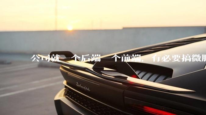 公司就一个后端一个前端，有必要搞微服务吗？
