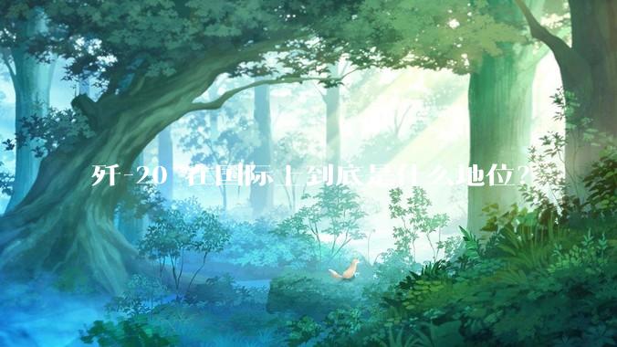 歼-20 在国际上到底是什么地位？